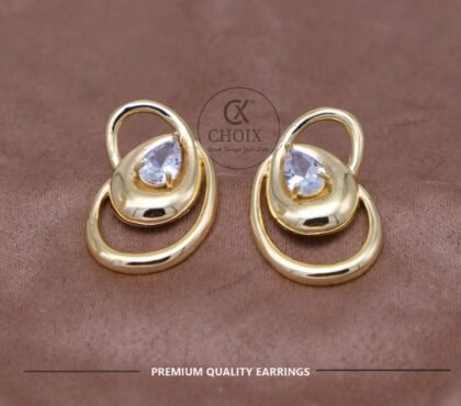 Stainless steel earrings