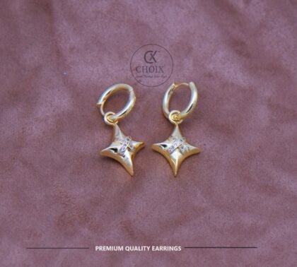 Stainless steel earrings