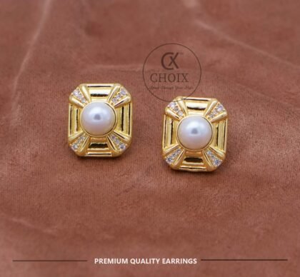 Stainless steel earrings